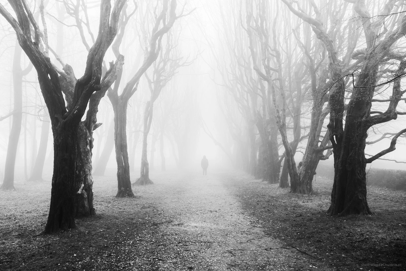 magdalena chudzik landscape photography black and white