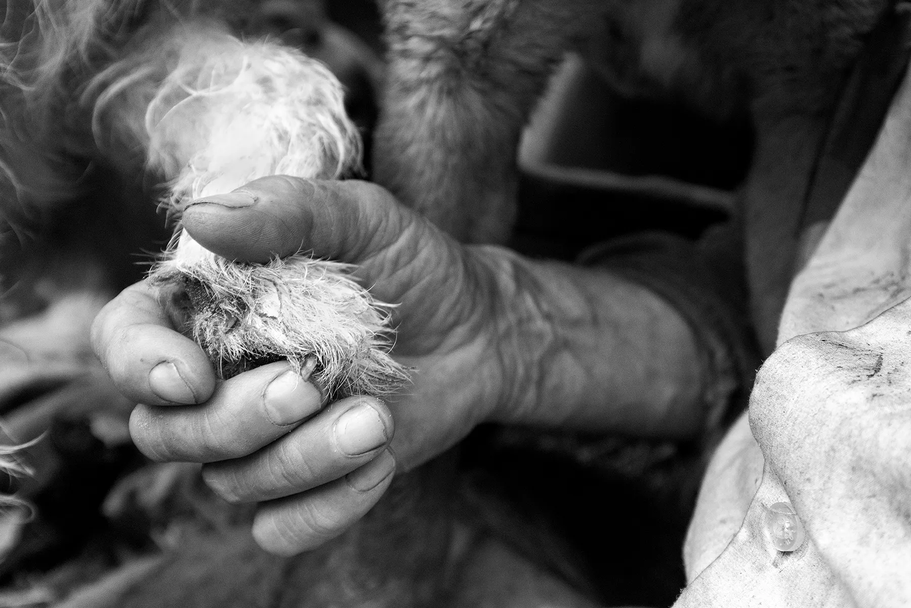 magda chudzik documentary photography king of biebrza river