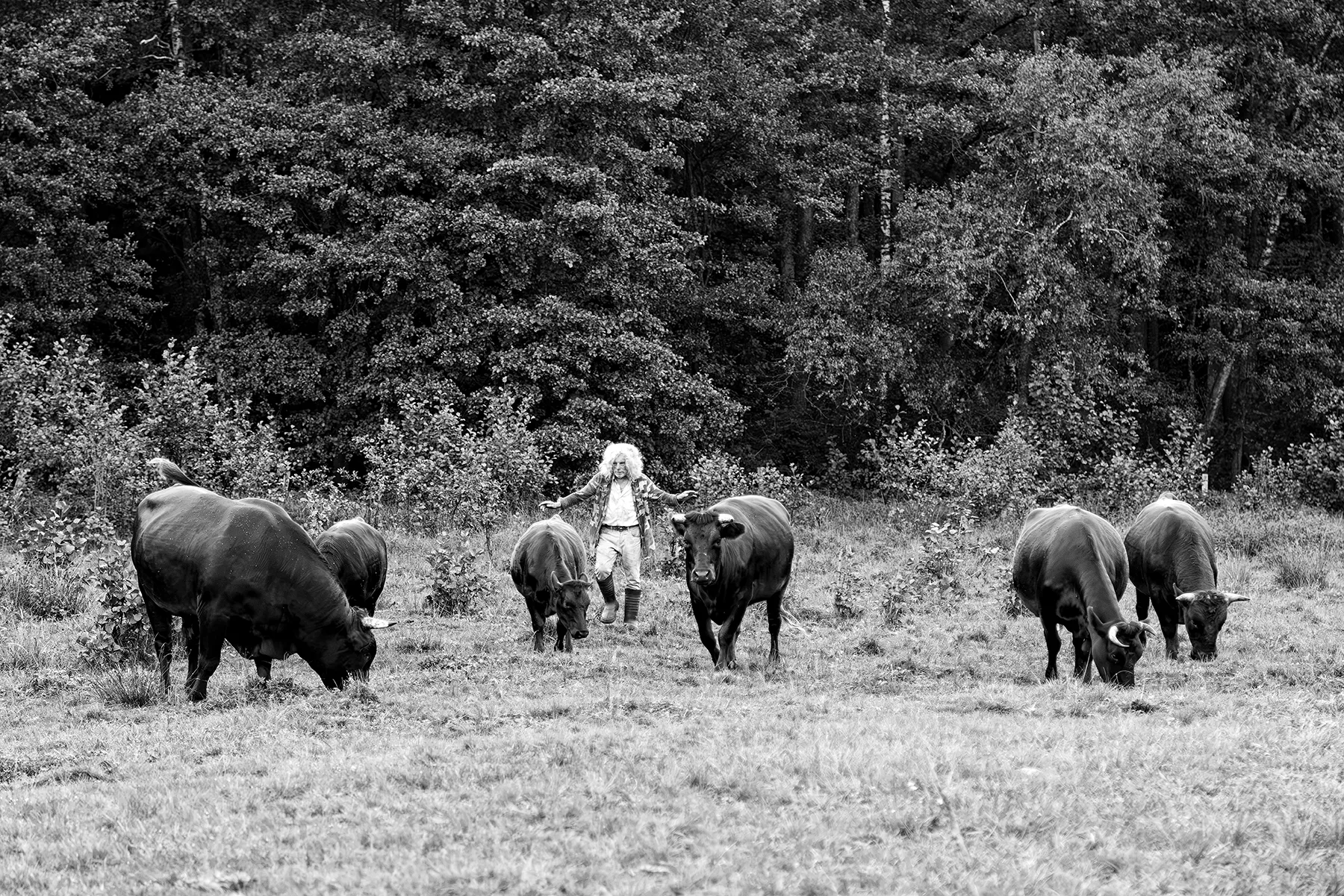magda chudzik documentary photography king of biebrza river